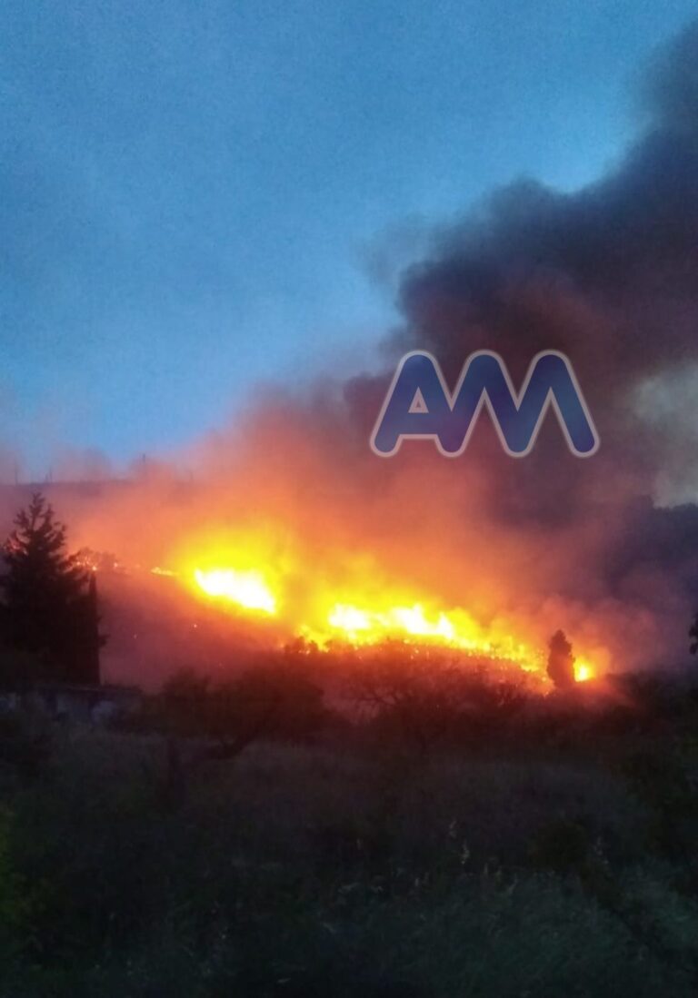 Incendio nelle aree rurali di Reitano. Vigili del fuoco in azione