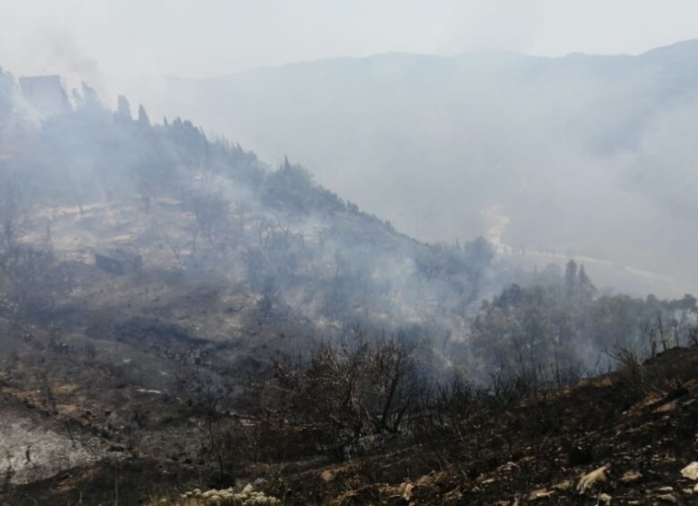 Messina – Vasto incendio in località Gesso, lambite le abitazioni