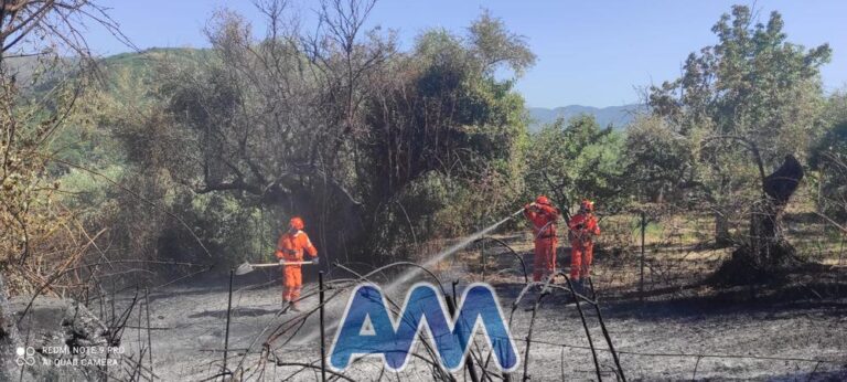 Piraino, quarto incendio in 10 giorni. È guerra ai roghi: istituiti servizi di pattugliamento del territorio