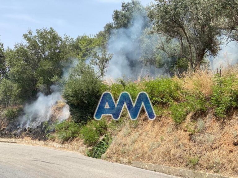 Torrenova, ancora fiamme. Incendio nei pressi  della SP160 per San Marco