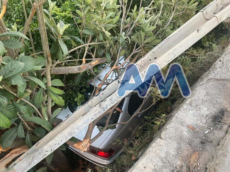 Torrenova, auto sfonda il guardrail e finisce in un limoneto