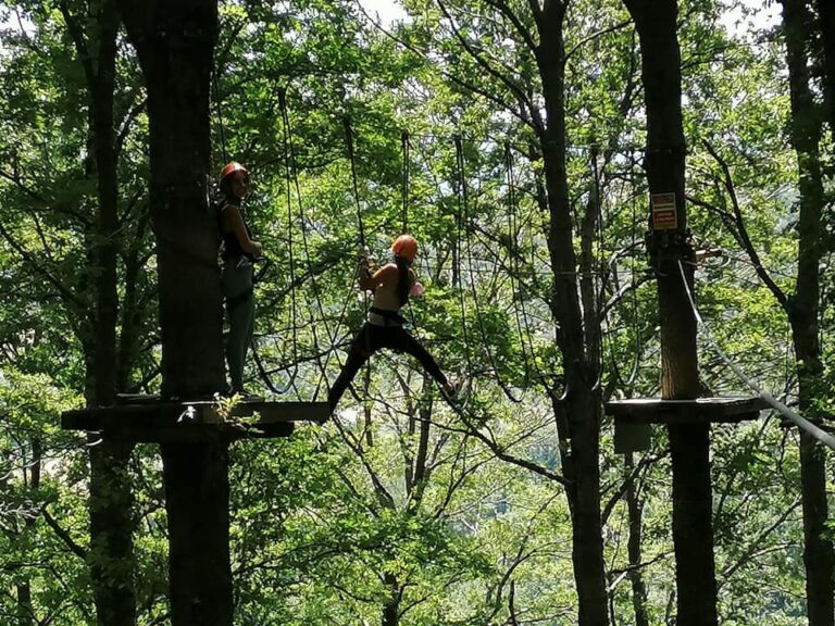 Il Parco dei Nebrodi a lavoro per riaprire il “Parco Avventura” di Longi