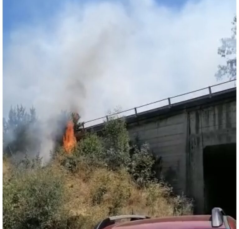 Capo d’Orlando – Incendio in c.da Scafa, sul posto la Protezione Civile