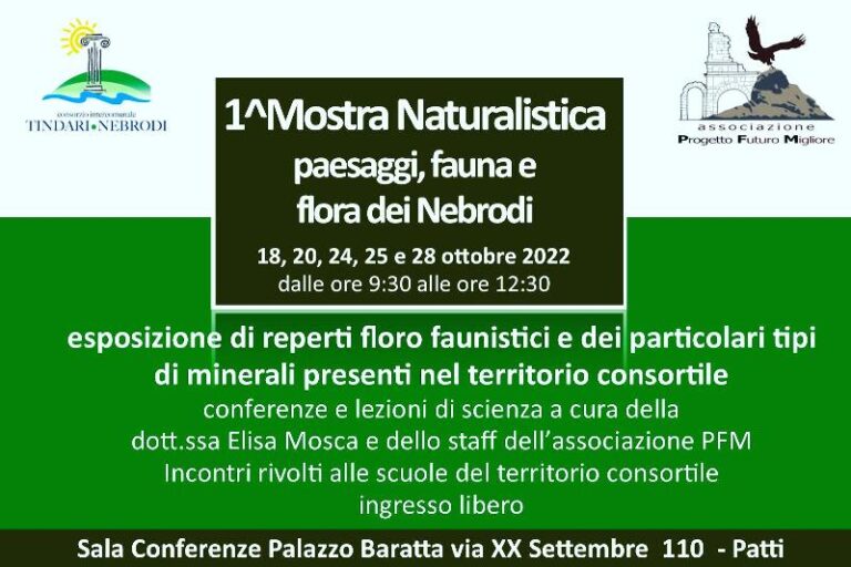 Patti: flora, fauna e minerali, mostra naturalistica a Palazzo Baratta