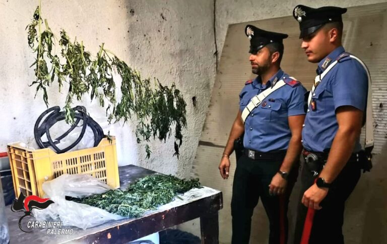 2 kg di droga nascosta nella stalla, arrestati due pastori nel palermitano