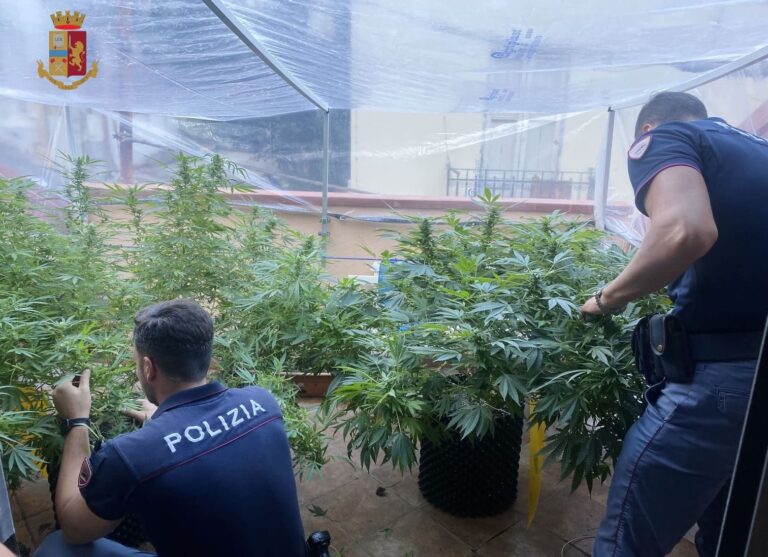 Coltivava marijuana in una serra allestita nella veranda di casa. Arrestato 25enne messinese