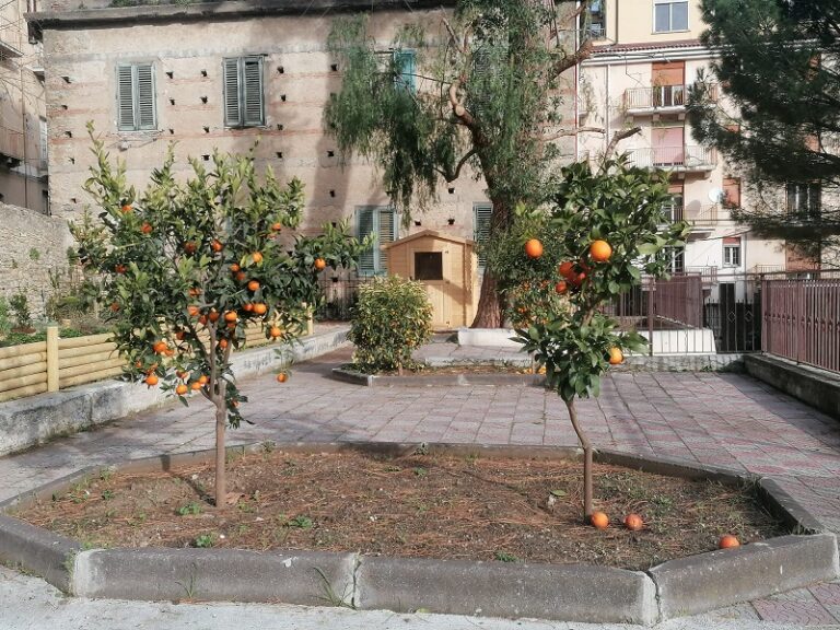 Patti: un orto didattico per l’istituto comprensivo “Lombardo-Radice”