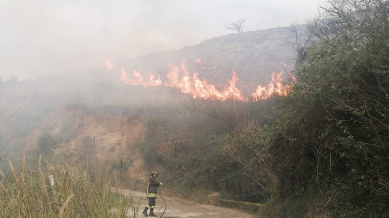 Motta D’Affermo: vasto incendio in contrada Petralite