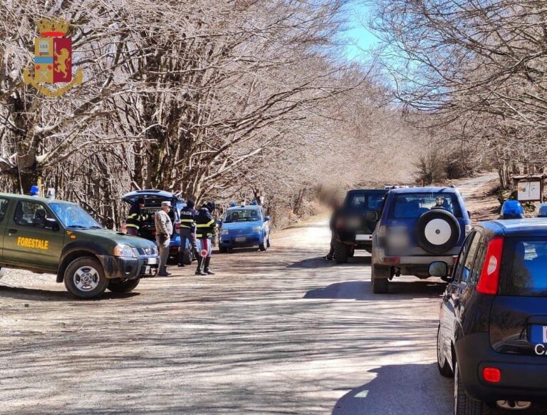 Controlli straordinari per garantire la sicurezza al Parco dei Nebrodi, multe e sanzioni