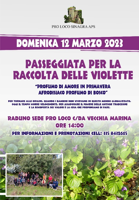 Sinagra: una passeggiata per la raccolta delle violette