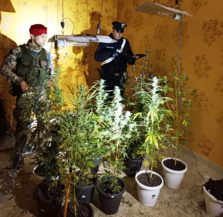 Occupa una casa e ci costruisce una serra di marijuana, arrestato 35enne messinese