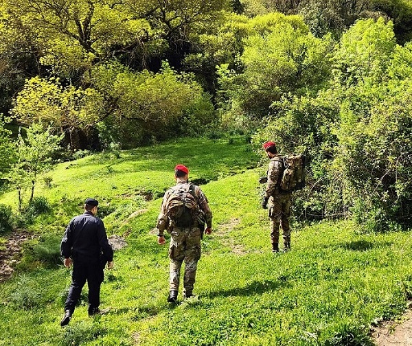 I carabinieri interrompono una battuta di caccia nel Parco dei Nebrodi, denunciate cinque persone