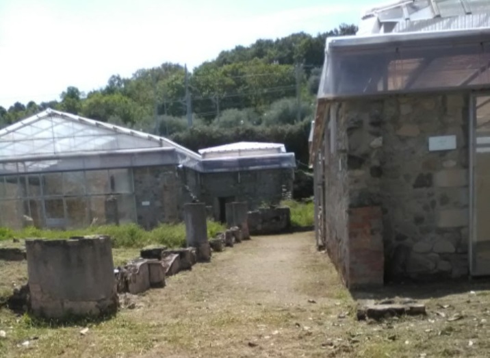 Villa Romana di Terme Vigliatore: i sindacati contestano il trasferimento del personale al sito archeologico di Patti