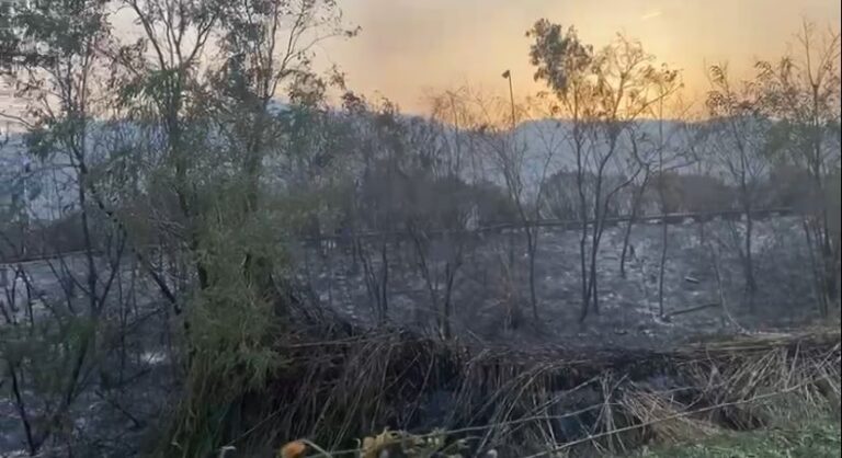 Incendi a Patti ed Oliveri: un vero bollettino di guerra. In fumo ettari di macchia mediterranea – VIDEO