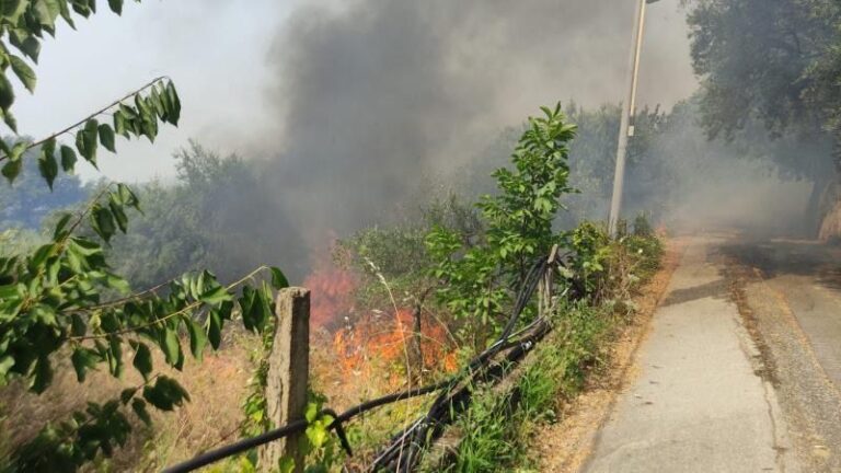 Fuoco anche a Gioiosa Marea. Sul posto Forestale e Rangers