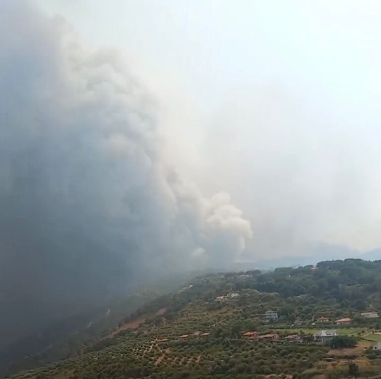 Sicilia – Incendi, Schifani: “Chiederemo lo stato d’emergenza al governo nazionale”