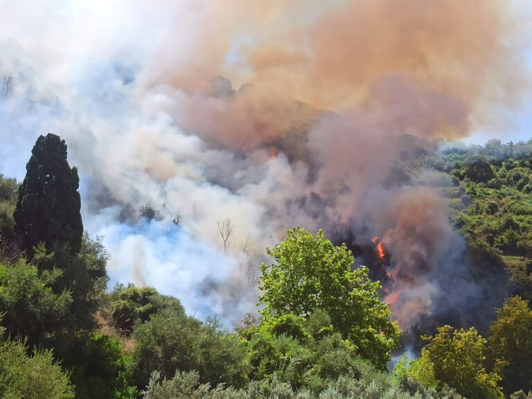 Capo d’Orlando – Scoppia incendio sulla SS113, brucia la collina