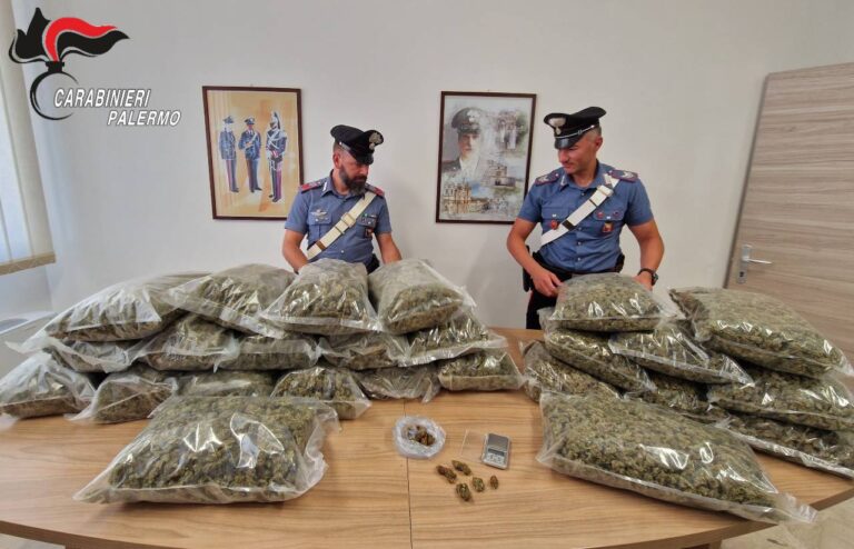 Partinico, due distinti arresti per detenzione di droga ai fini di spaccio. Sequestrati 26 kg di marijuana