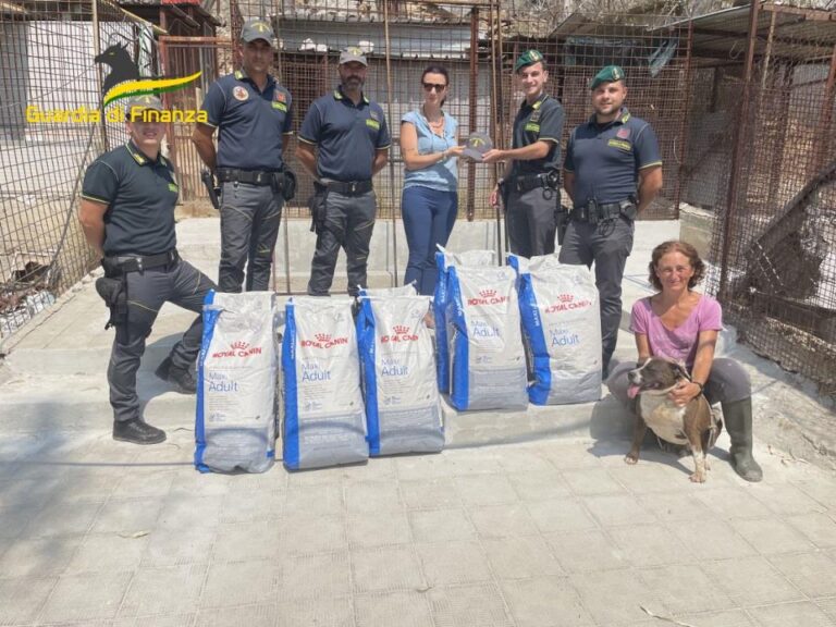 Bellolampo, canile danneggiato da rogo. I finanzieri donano 200 kg di crochette