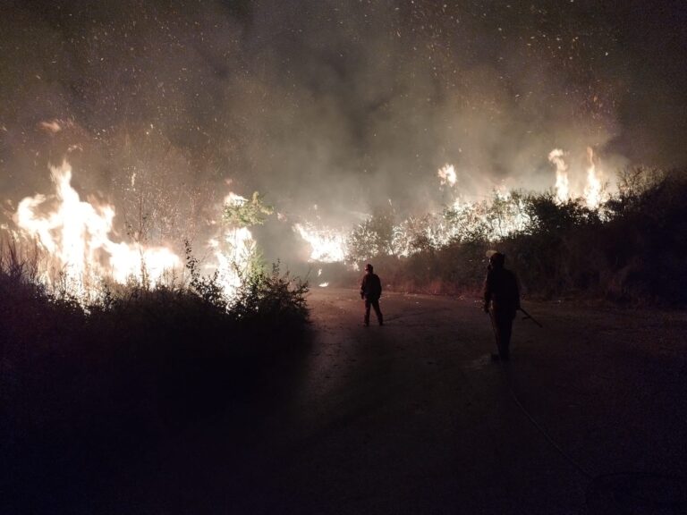 Incendi, Grasso (FI): “Ieri giornata drammatica per tutta la Sicilia. Nel messinese tanti Comuni coinvolti. Chiederò che sia dichiarato lo Stato di crisi e di emergenza”