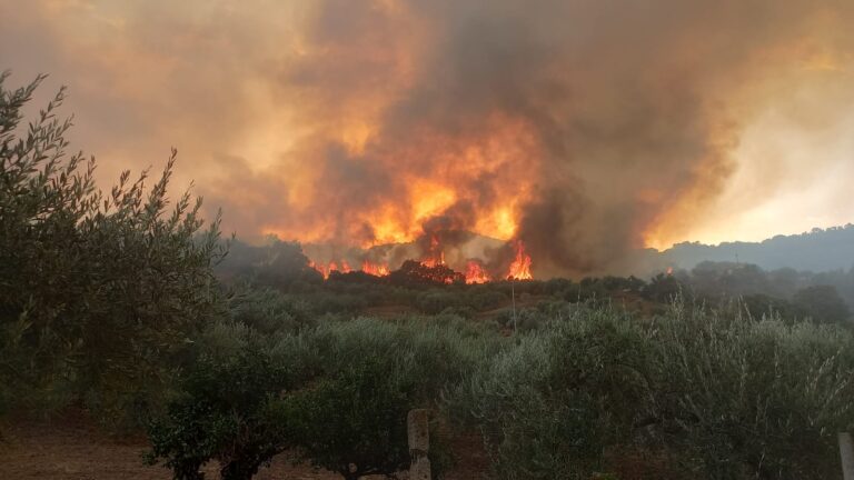 Ancora fuoco nel messinese: vasto incendio a Tusa. Anche domani allerta rossa da Trapani a Messina