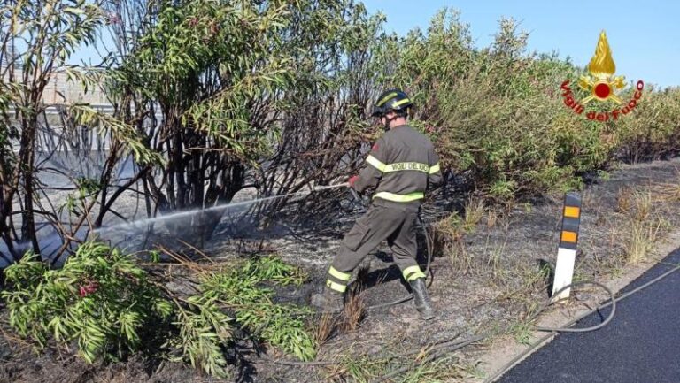 Terme Vigliatore: incendio in una corsia spartitraffico della A/20, l’intervento dei vigili del fuoco