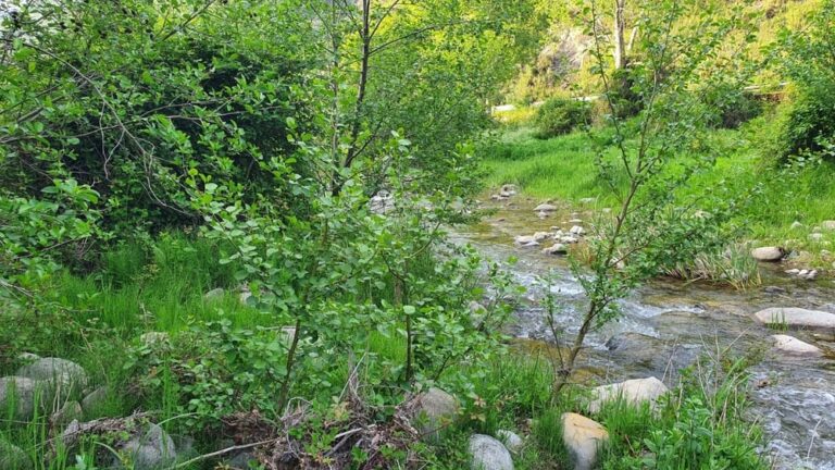 Sinagra, il 6 ottobre si celebra la Terra, con il geoevento “I sentieri dell’acqua”