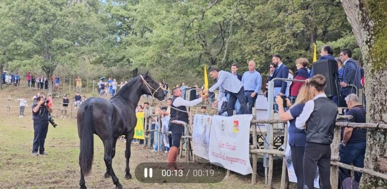 Un successo la 63a edizione della Fiera del Cavallo Sanfratellano – VIDEO