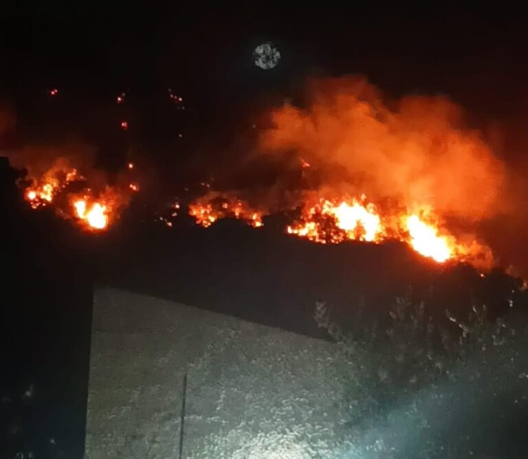 Piraino – Incendio in c.da Salinà. Lanciato appello per salvare cani e gatti