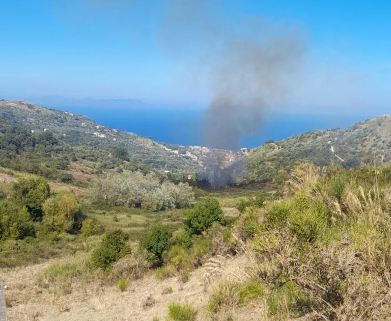 Patti: incendio in contrada Carasi, in fumo solo macchia mediterranea