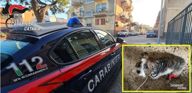 Carabinieri salvano un cucciolo di cane ed il suo padrone a Catania