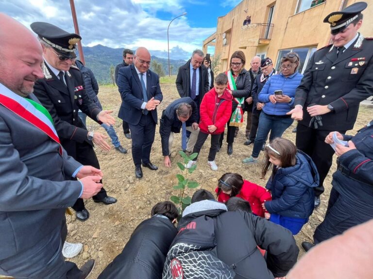 Pettineo – L’albero di Giovanni Falcone, messa a dimora della talea