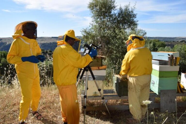 Il miele dei Monti Iblei sui Rai3 nel nuovo documentario “La Valle degli Dei”