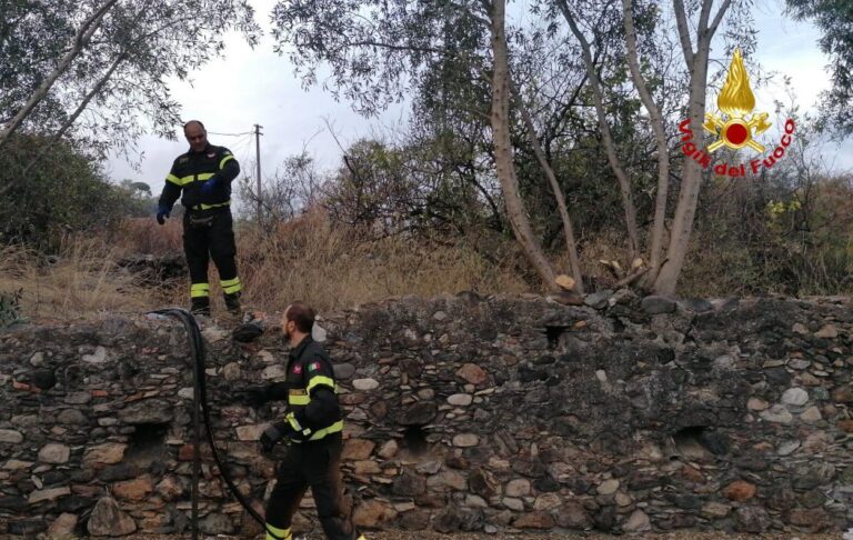 Incendio di macchia mediterranea ad Alì Terme. Rogo spento dai vigili del fuoco