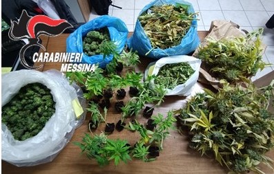 Trasformano vano di casa in una vera e propria serra per la coltivazione di cannabis, arrestati una 38enne e un 19enne