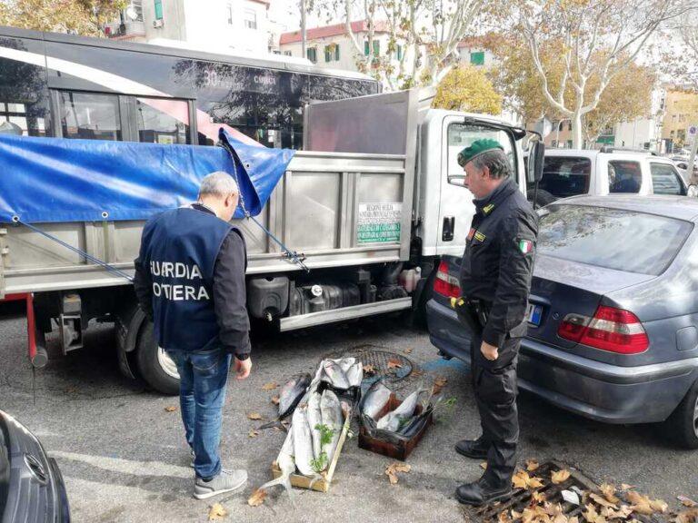 Messina – Mercato di Sant’Orsola: controlli congiunti di fiamme gialle e guardia costiera. Multe e sequestri di pesce