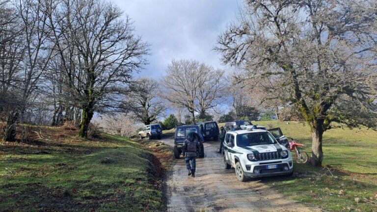 Parco dei Nebrodi, controlli e sanzioni per violazioni delle norme ambientali