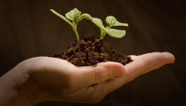 Vertenza Agricoltori: la posizione della Federazione Agricoltori Siciliani