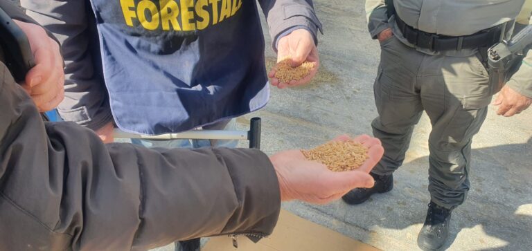 Controlli del Noras della Forestale su grano estero in arrivo in Sicilia. Campioni inviati all’Ist. Zooprofilattico di Palermo