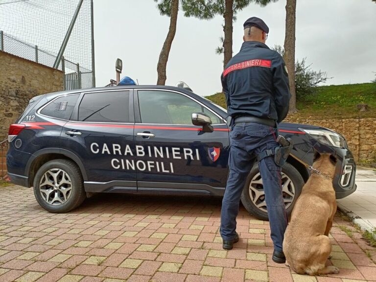 Palermo, scoperto presunto falsario a Ciaculli. In casa trovati 50 mila euro e documenti falsi e armi clandestine