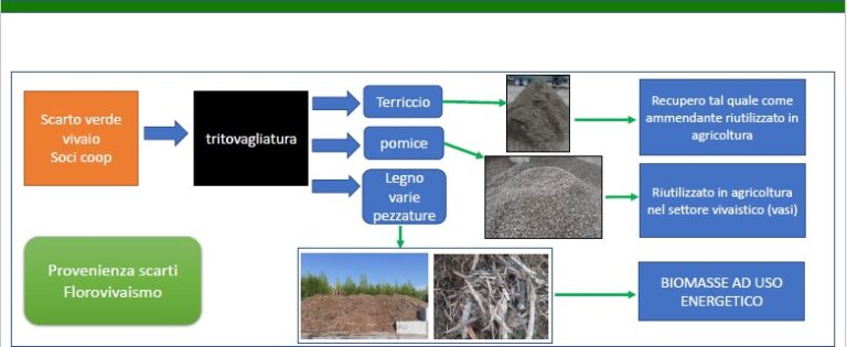 Un avviso per realizzare un impianto di recupero e reimpiego degli scarti vegetali del florovivaismo in provincia di Messina