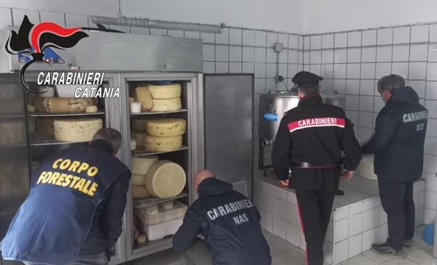 Caseificio abusivo e in pessime condizioni igienico-sanitarie. Scatta il sequestro dei locali. Denunciati 2 giovani catanesi