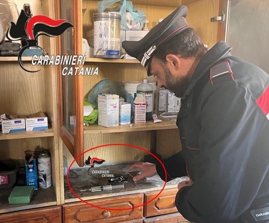 Catania – Picanello: stalla abusiva e farmaci senza prescrizione. Denunciati due catanesi