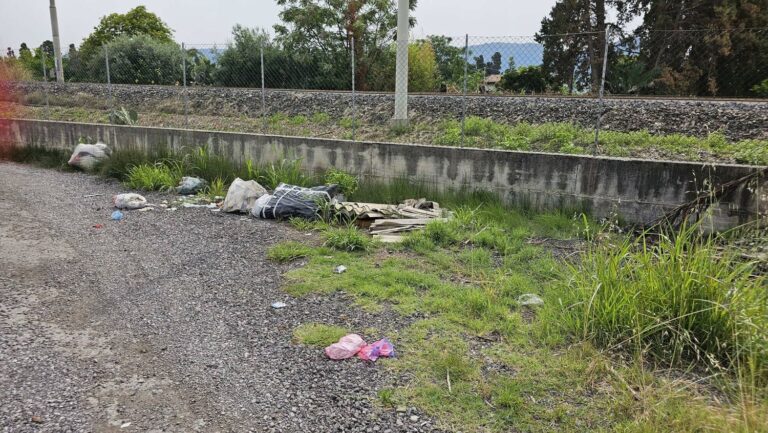 Via del Mare: erba alta, canneti e spazzatura. Urgono provvedimenti – VIDEO