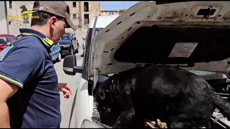 Palermo – Sequestrati 3,5 kg di cocaina. Arrestato un pericoloso latitante ricercato in Repubblica Ceca