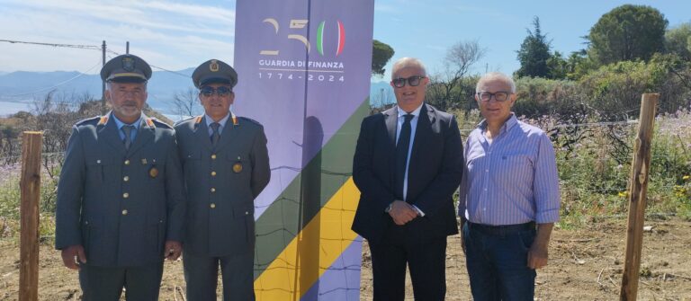 250° anniversario della fondazione della Guardia di Finanza: a Patti piantati 250 alberi nella riserva dei Laghetti di Marinello