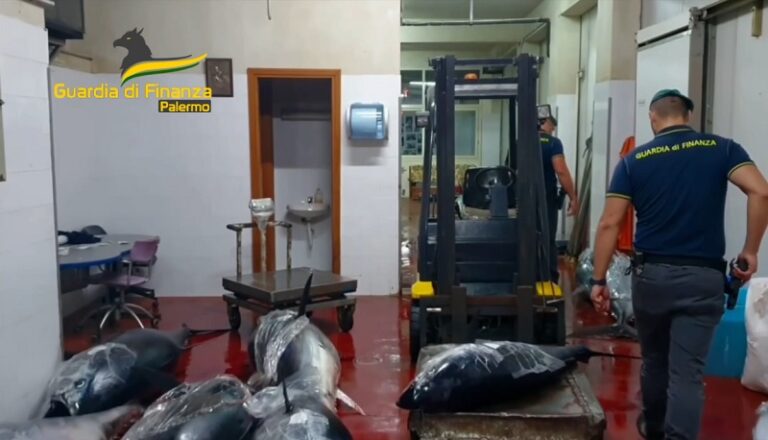 Palermo: sequestrate dieci tonnellate di tonno rosso e pesce spada