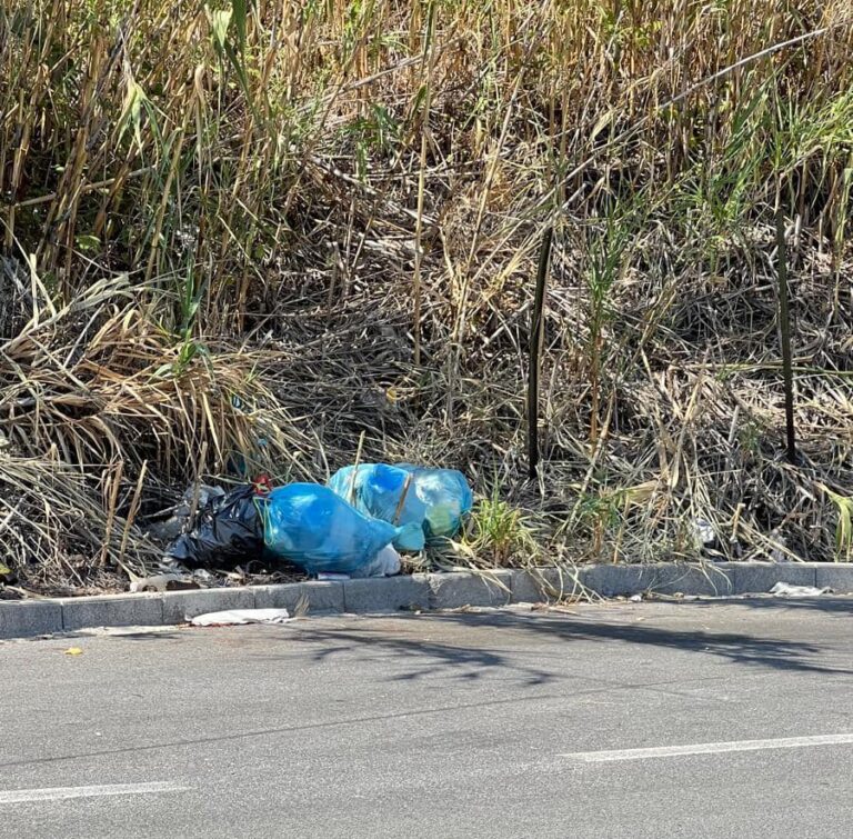 Oliveri – Getta rifiuti in strada: rintracciata e sanzionata con 600€ di multa