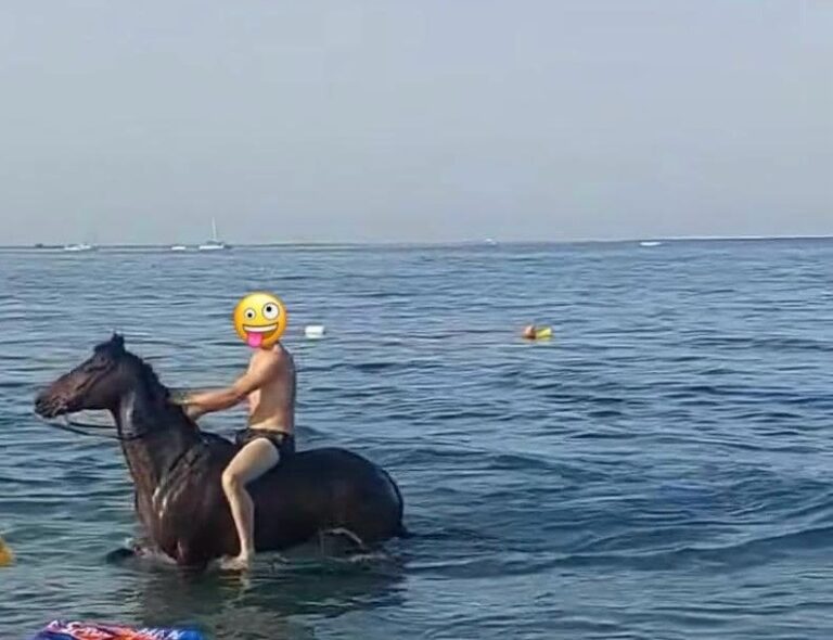 Si tuffa in mare… con il cavallo: identificato e multato ad Oliveri