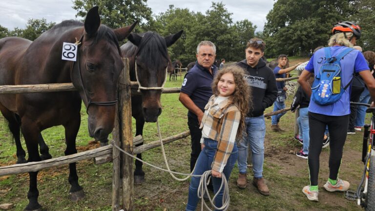 San Fratello – Un successo la 64a mostra-mercato 2024 del cavallo sanfratellano – VIDEO